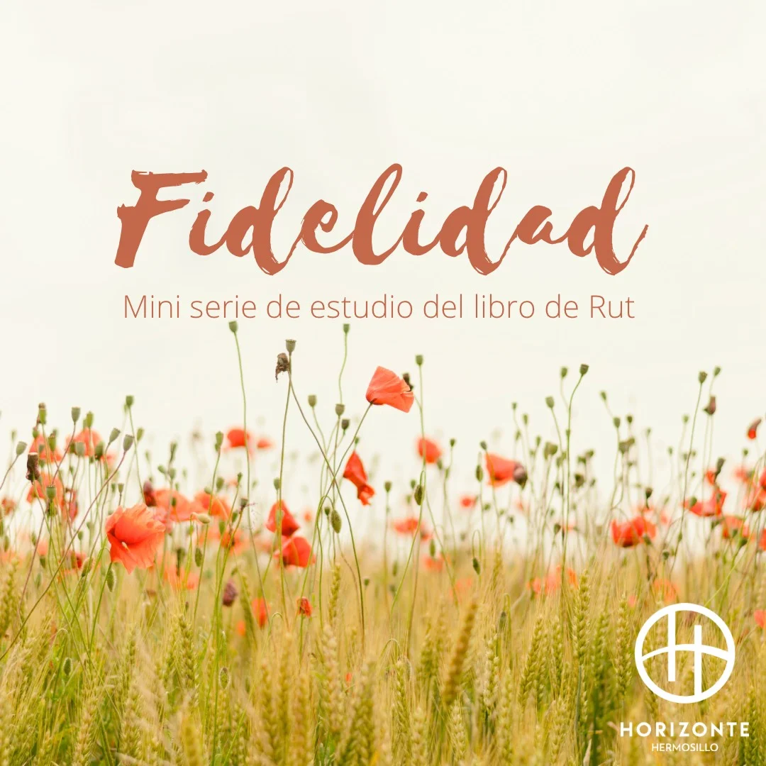 Portada de la serie Fidelidad